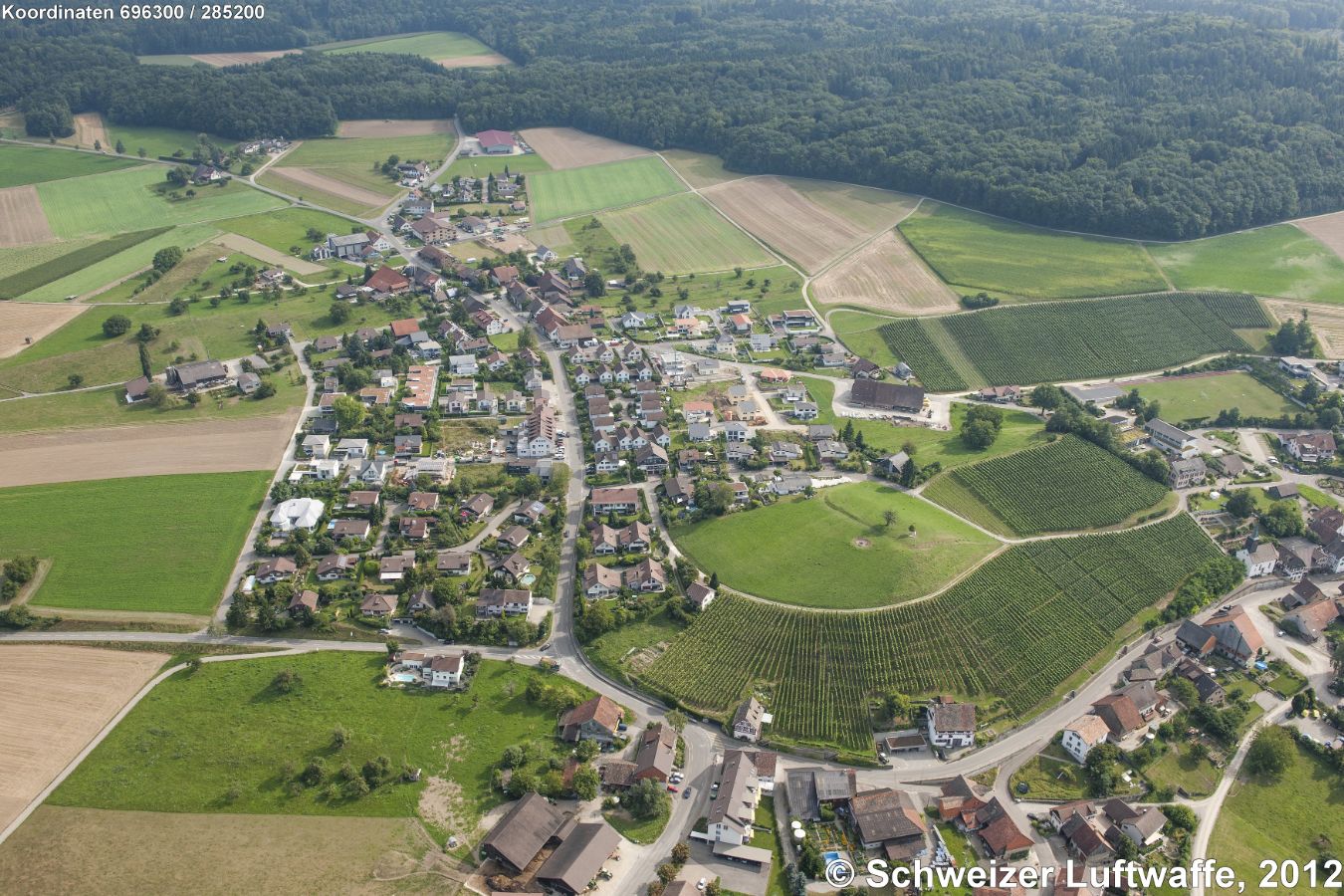 Neudörflingen; Reben am Buck